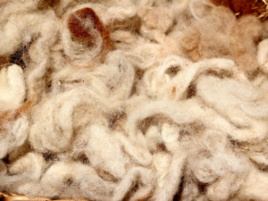 Alpaca Wool Features